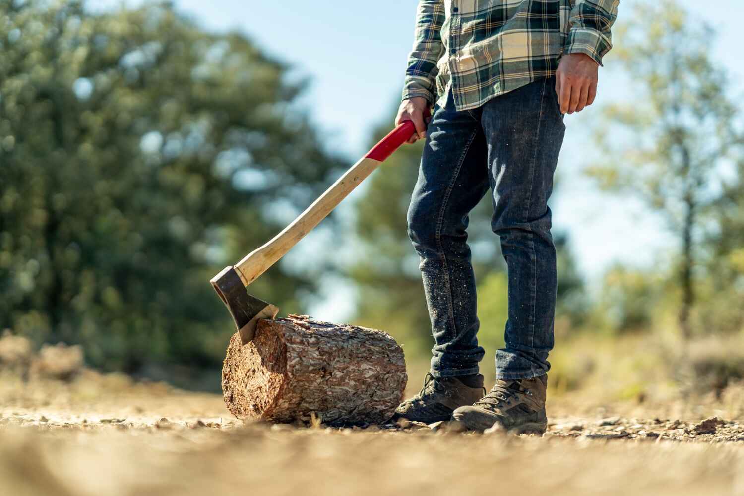 Best Emergency Storm Tree Removal  in Nephi, UT